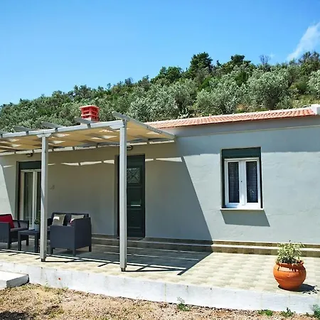 Aigaio Between The Aegean Blue And Olive Grove *