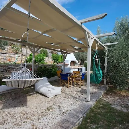 Aigaio Between The Aegean Blue And Olive Grove