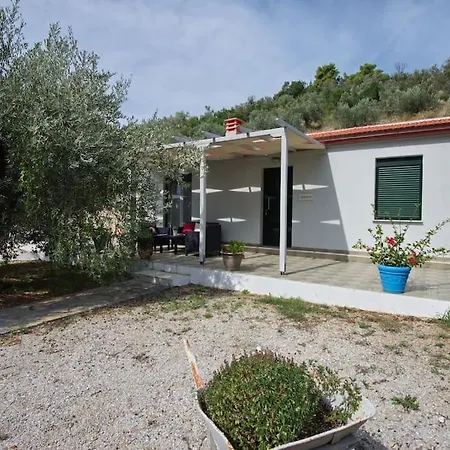 Aigaio Between The Aegean Blue And Olive Grove